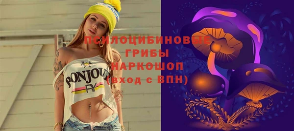 a pvp Алзамай