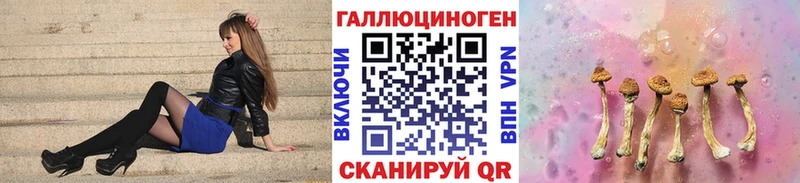 Галлюциногенные грибы Psilocybe  где купить   Ставрополь 
