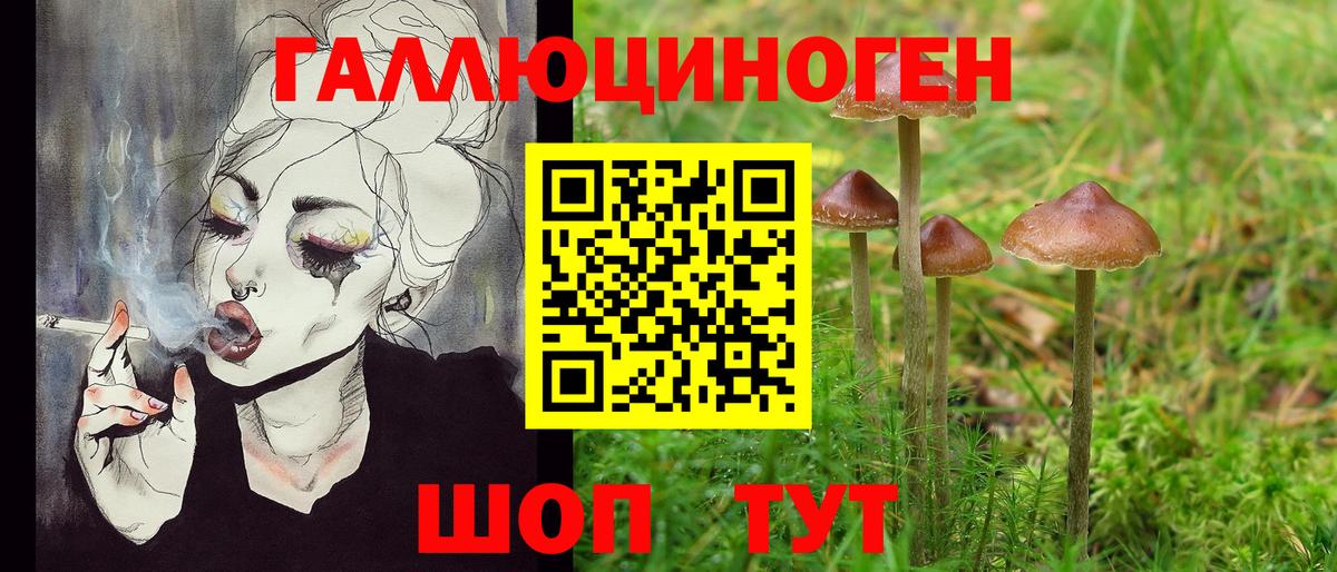 Галлюциногенные грибы мицелий Ставрополь