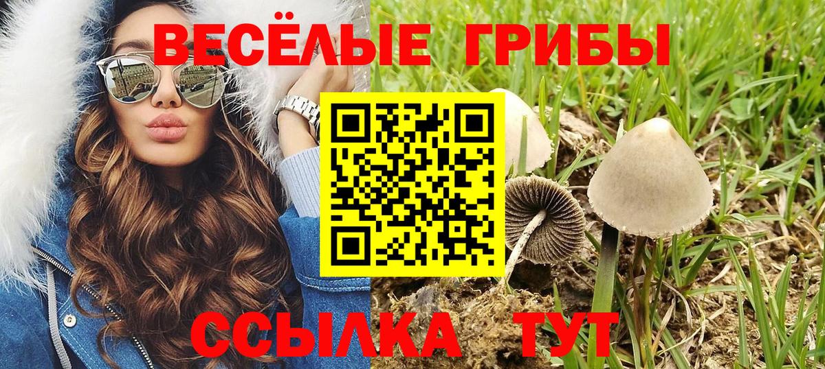 Ставрополь  Галлюциногенные грибы Magic Shrooms  Псилоцибиновые грибы Magic Shrooms  Вход с VPN 